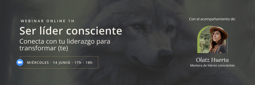 Webinar · Liderazgo